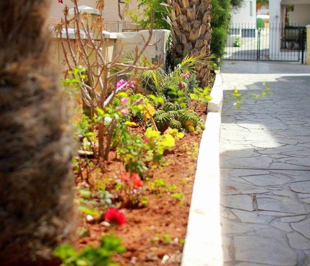 Maria Zintili Apartments Айя Напа Екстериор снимка